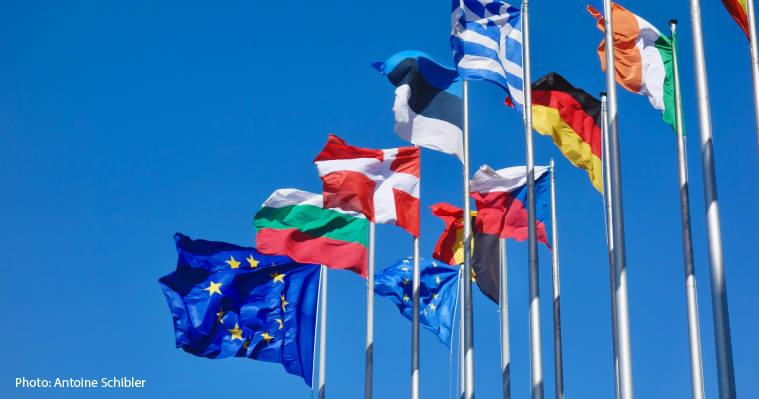 EU country flags