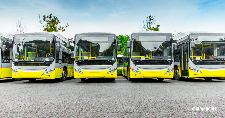 Fleet of buses