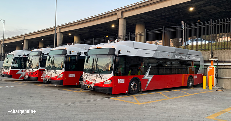 SFMTA busses