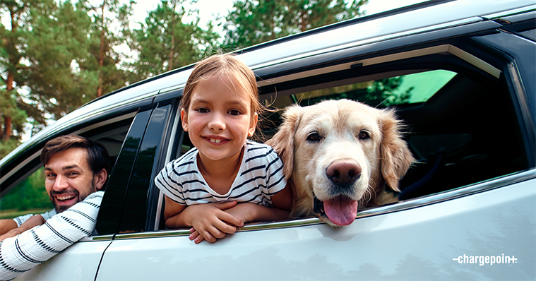 A child, a dog and a parent share joyous smiles as they peer out of a car window.