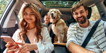 People with dog in a car